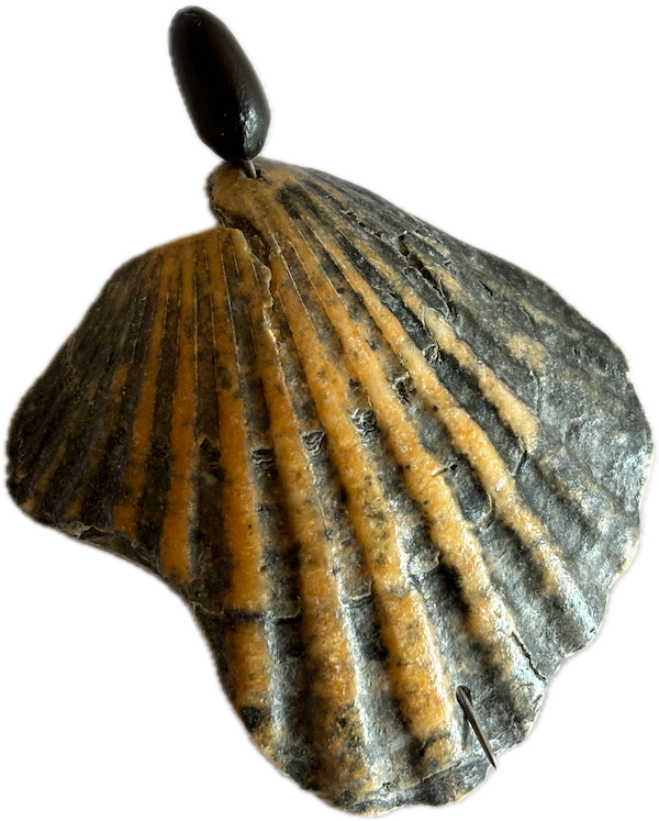 Broche : coquillage, graine, acier.